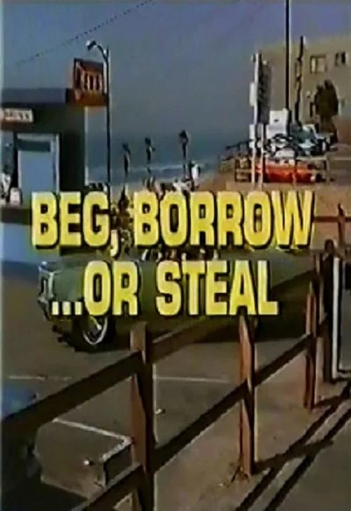 Постер: Beg, Borrow...or Steal