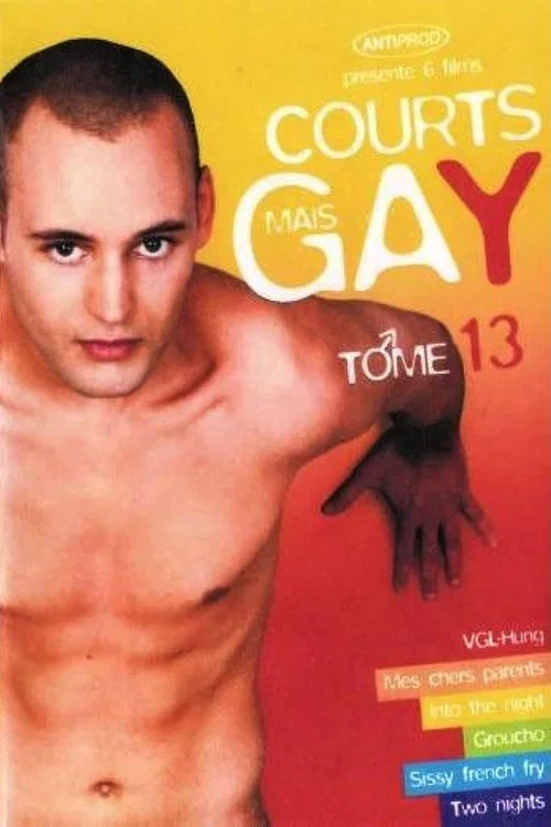 Постер: Courts mais Gay : Tome 13