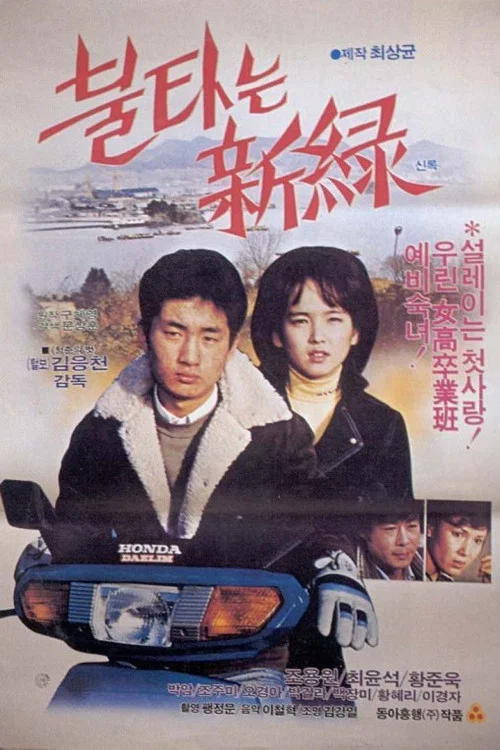 Постер: Bultaneun shinrok