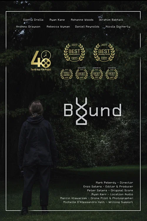 Постер: Bound
