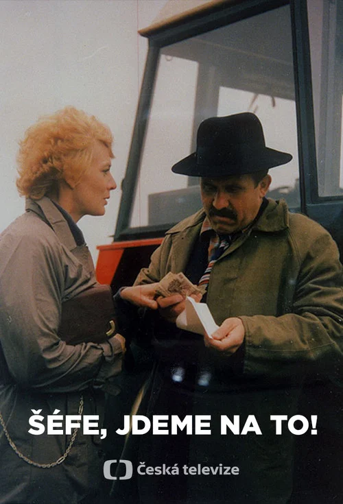 Постер: За дело, шеф!