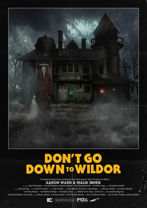Постер: Don't Go Down to Wildor