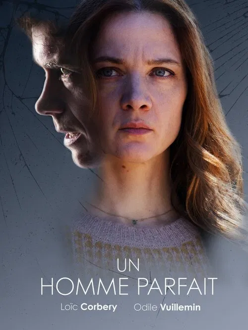 Постер: Un homme parfait
