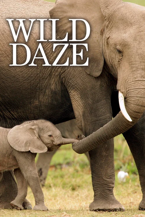 Постер: Wild Daze