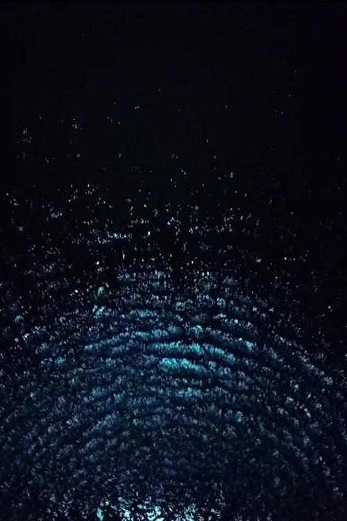 Постер: Meridian