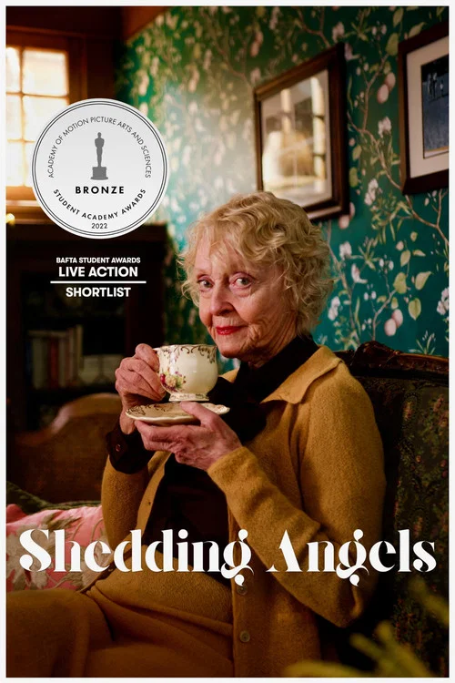 Постер: Shedding Angels
