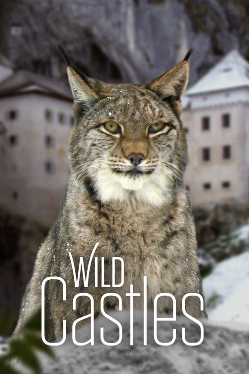 Постер: Wild Castles