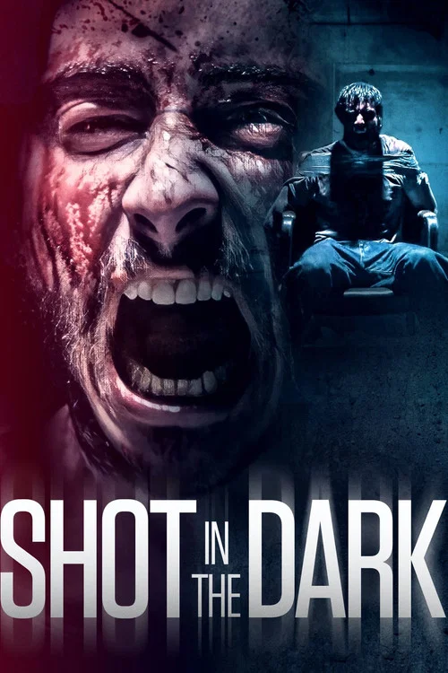 Постер: Shot in the Dark