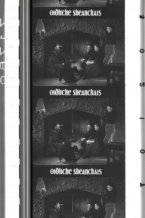 Постер: Oidhche Sheanchais