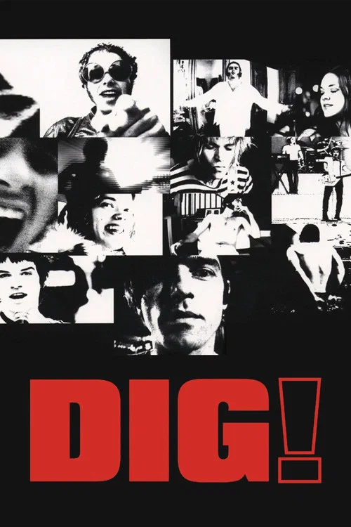 Постер: Dig