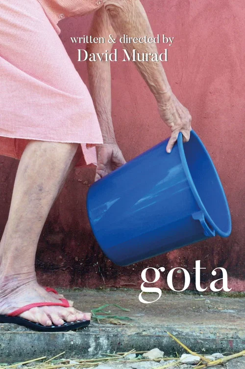 Постер: GOTA