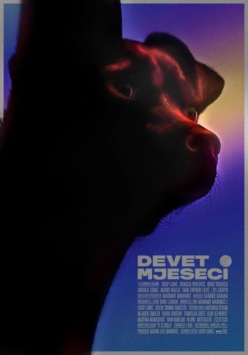 Постер: Devet mjeseci