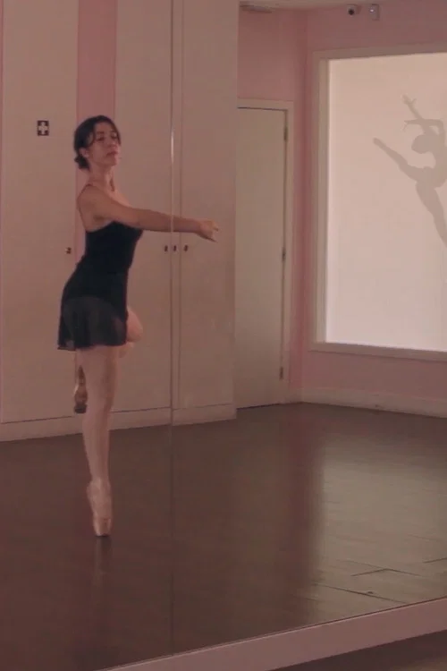 Постер: Brisé