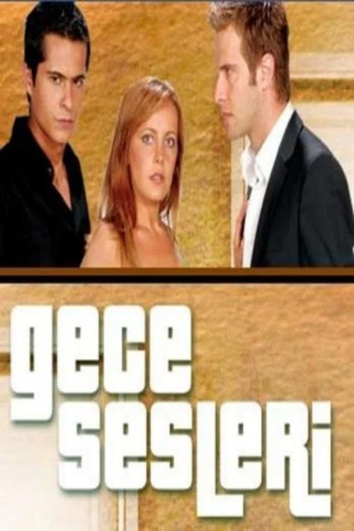 Постер: Gece Sesleri