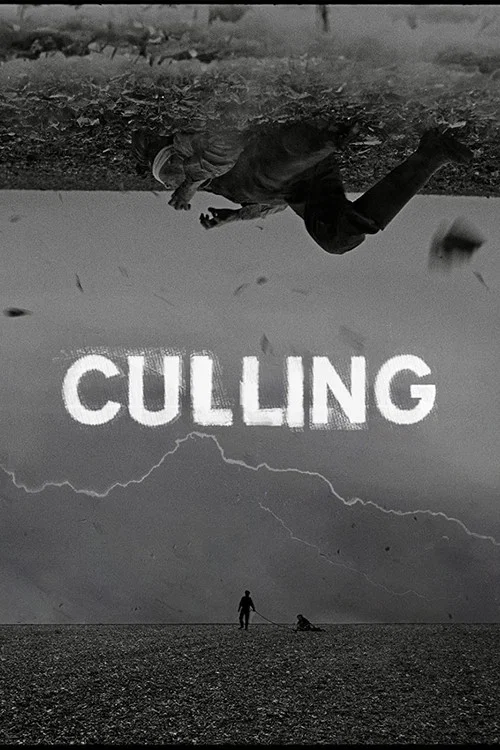 Постер: Culling