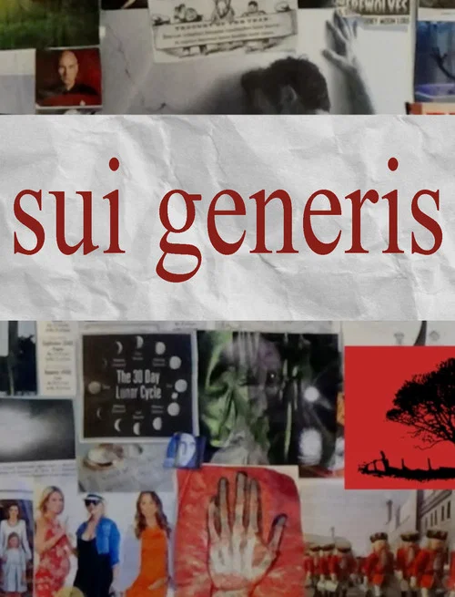 Постер: Sui Generis
