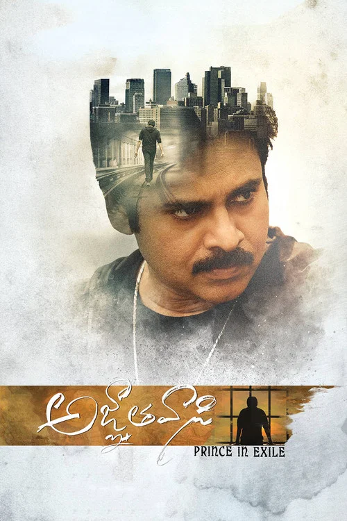 Постер: Agnyaathavaasi