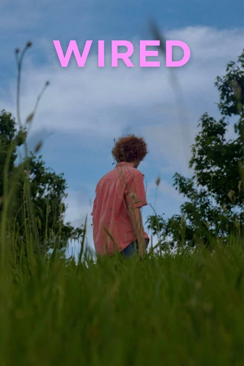 Постер: Wired