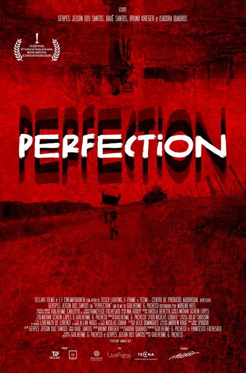 Постер: Perfection