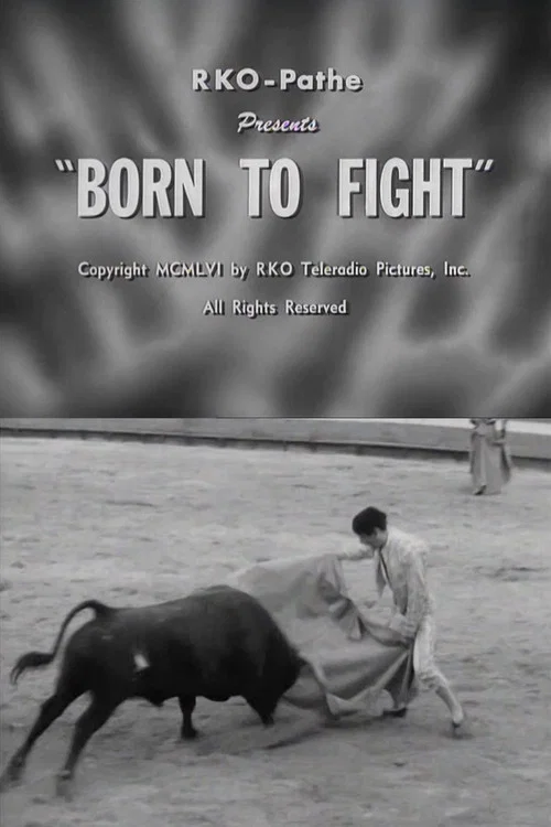Постер: Born to Fight