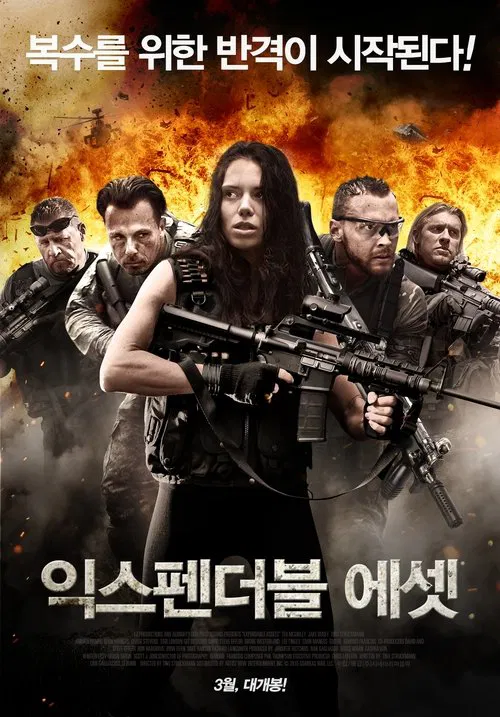 Постер: Expendable Assets