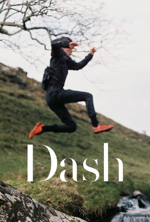 Постер: Dash