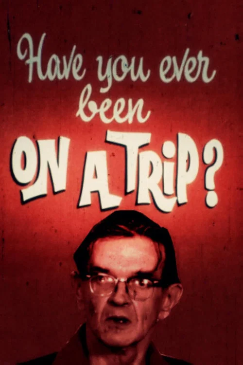 Постер: Have You Ever Been on a Trip?