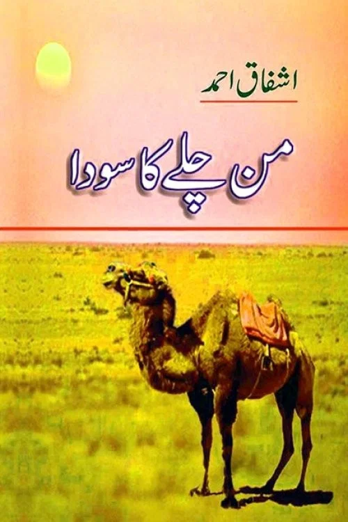 Постер: Mann Chalay Ka Sauda