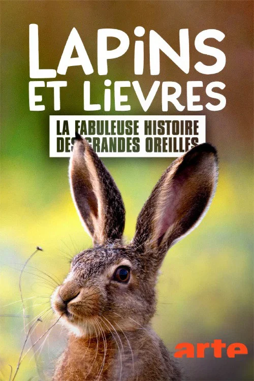Постер: Grandes oreilles