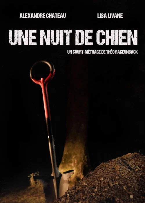 Постер: Une nuit de chien