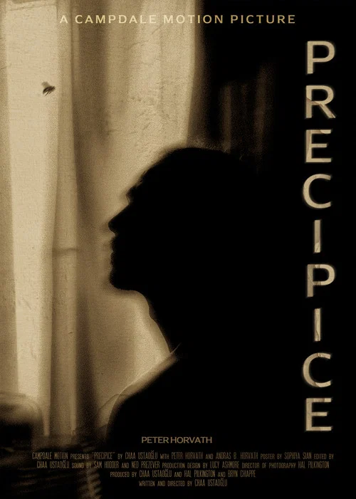 Постер: Precipice