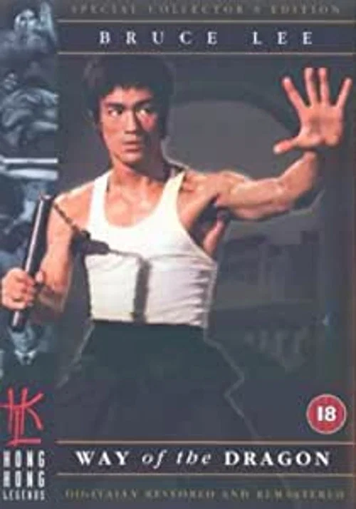 Постер: Reflections on «The Little Dragon»