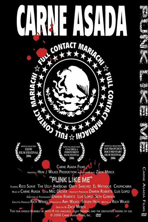Постер: Punk Like Me