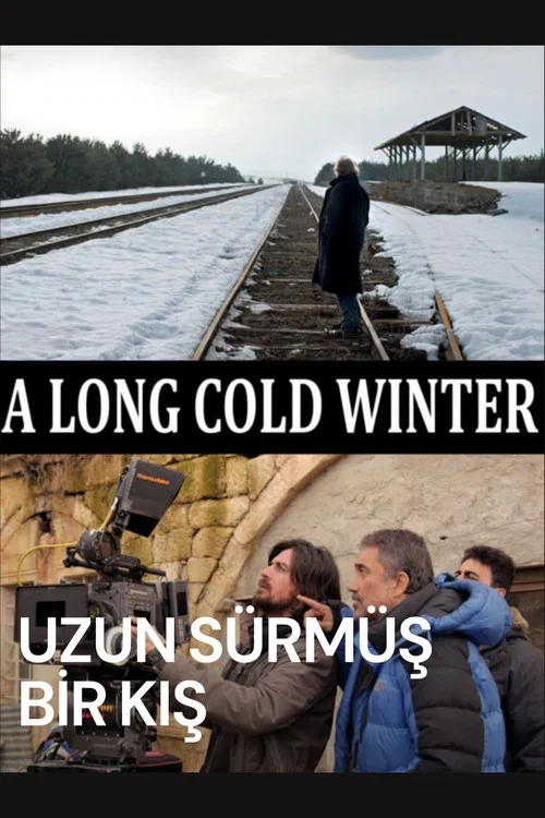 Постер: A Long Cold Winter