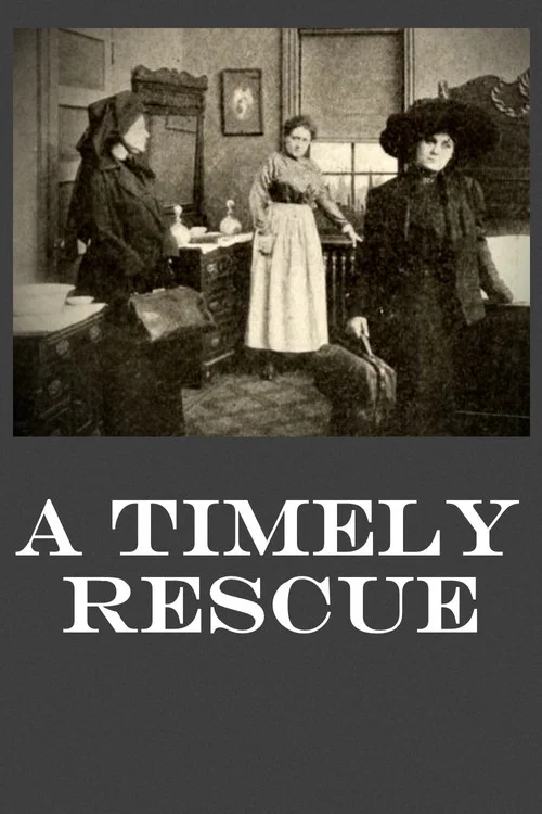 Постер: A Timely Rescue