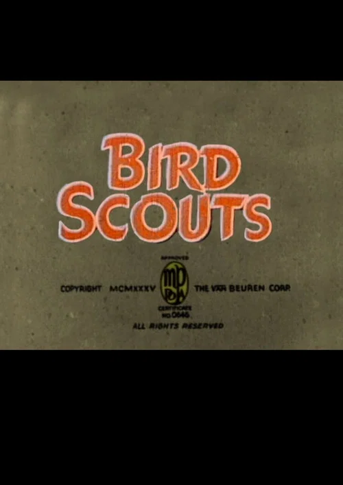 Постер: Bird Scouts