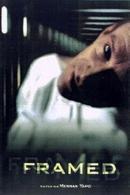 Постер: Framed