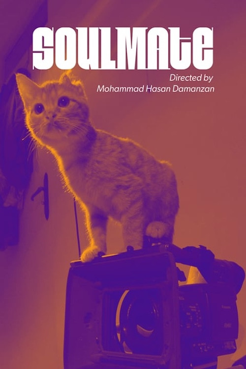 Постер: Soulmate