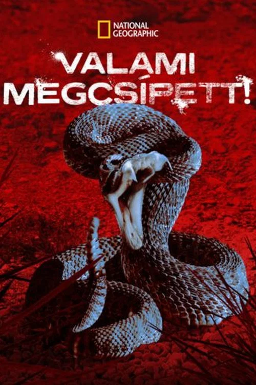 Постер: Меня укусили