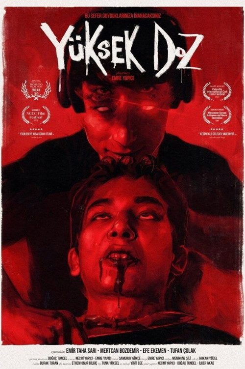 Постер: Overdose