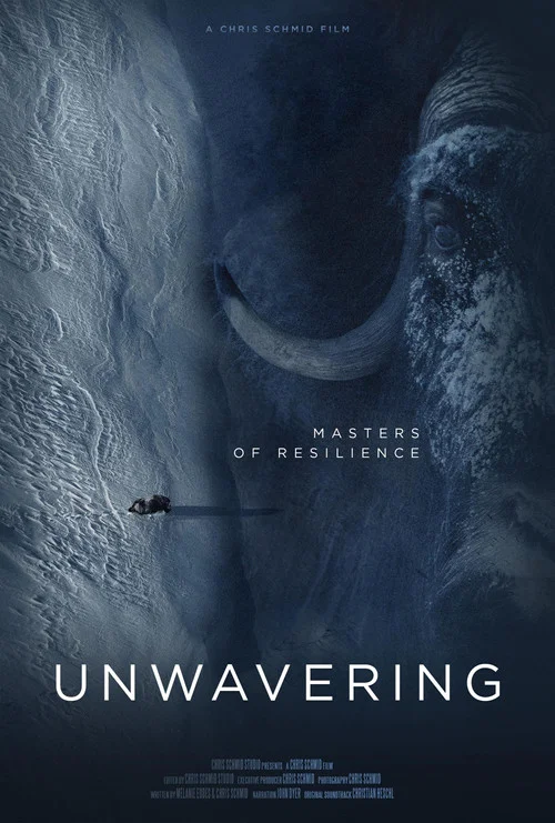 Постер: Unwavering