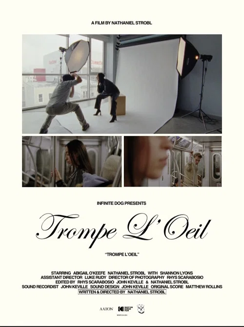 Постер: Trompe l'oeil