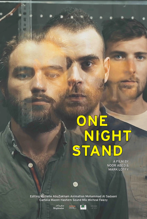 Постер: One Night Stand