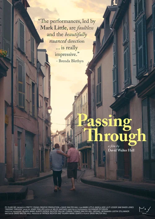 Постер: Passing Through
