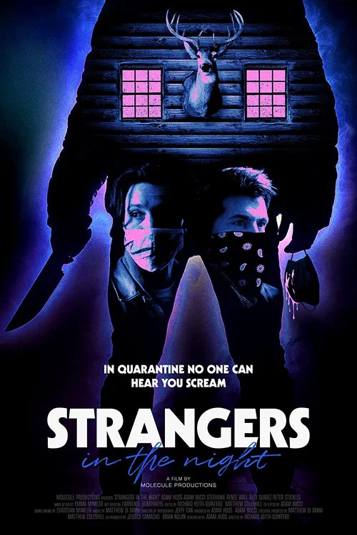 Постер: Strangers in the Night
