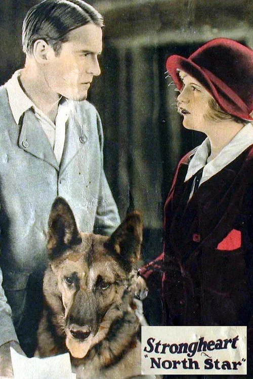 Постер: Северная звезда