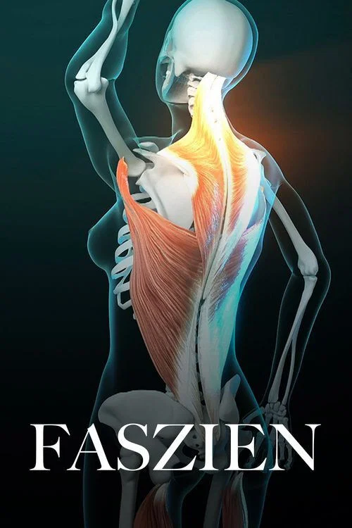 Постер: Faszien - Geheimnisvolle Welt unter der Haut