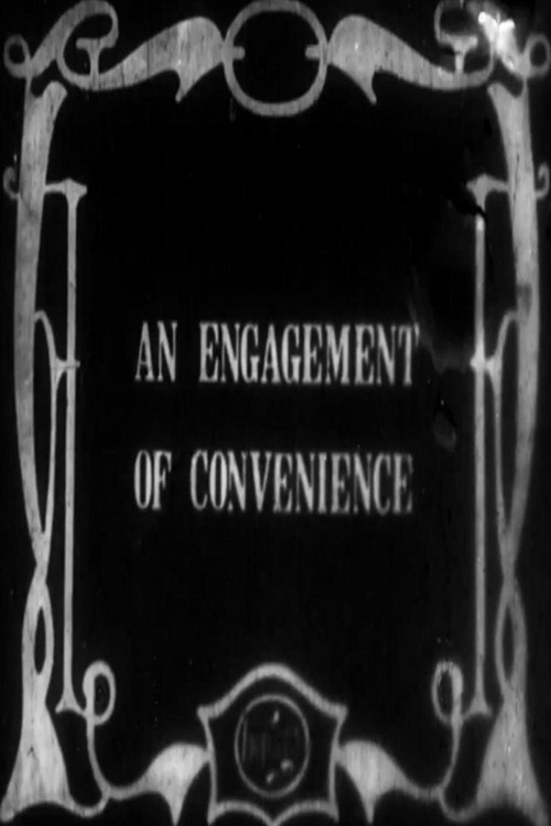 Постер: An Engagement of Convenience