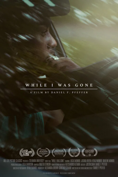 Постер: While I Was Gone