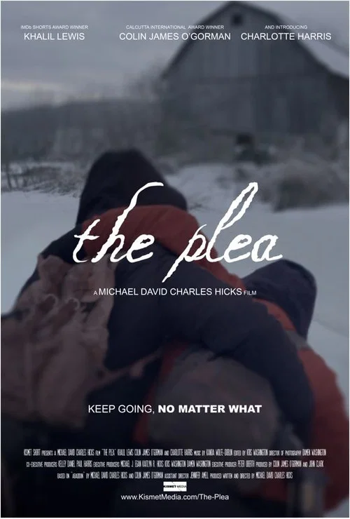 Постер: The Plea